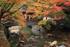 紅葉に包まれた佛通寺Ⅲ