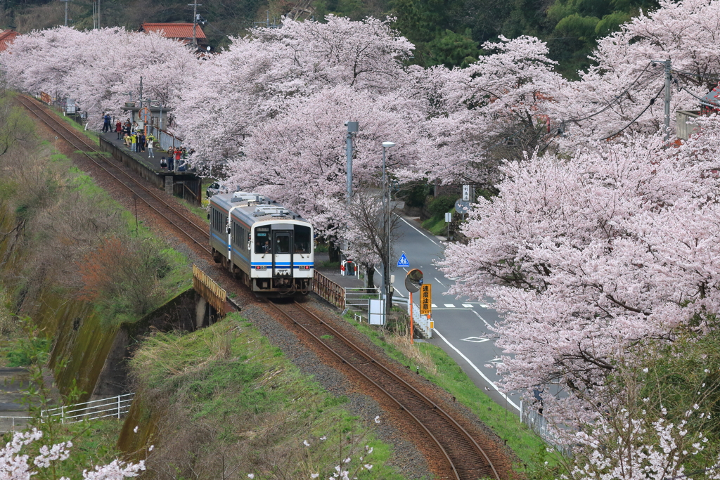 春の三江線潮駅