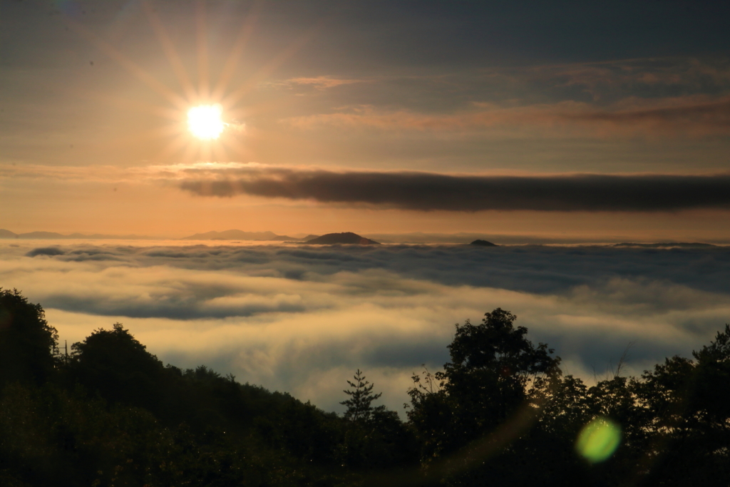 岡田山