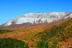 紅葉の大山②