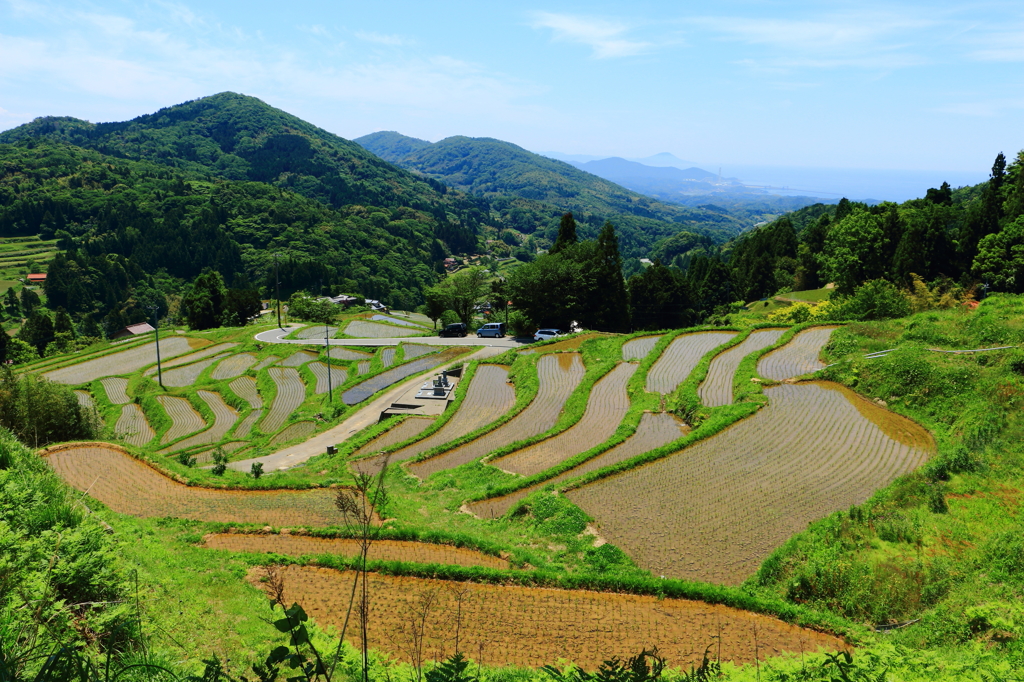 棚田