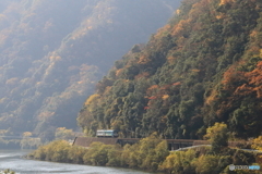 晩秋の渓谷を走るⅡ