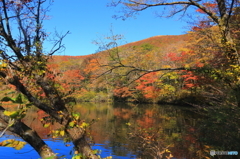 山装う