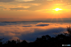 霧の海と朝日