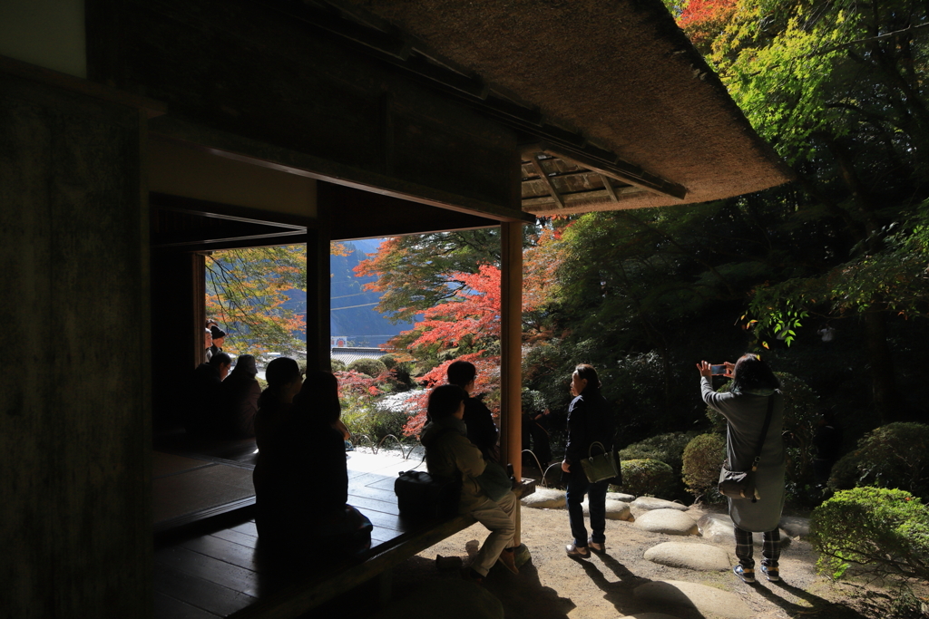 紅葉の吉水園Ⅱ