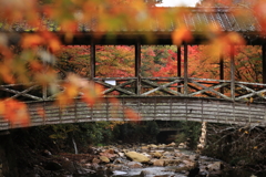 紅葉に包まれた佛通寺Ⅱ