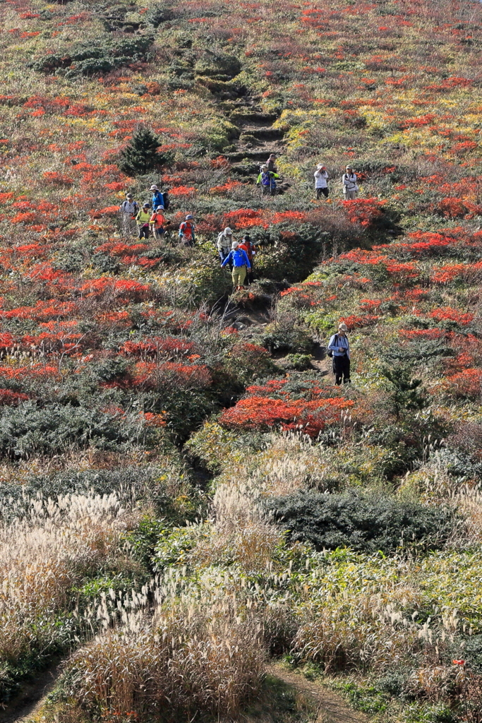 紅葉の比婆山Ⅱ