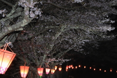 夜の千本桜