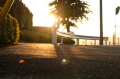 散歩帰りの夕暮れ
