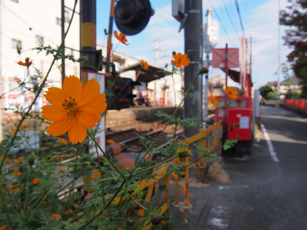 線路脇