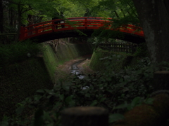 木陰