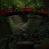 木陰