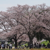 集う