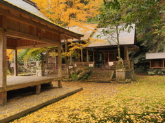 山間に映える