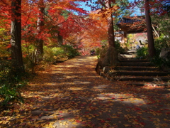 古刹色づく