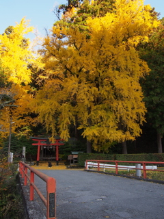 山間の