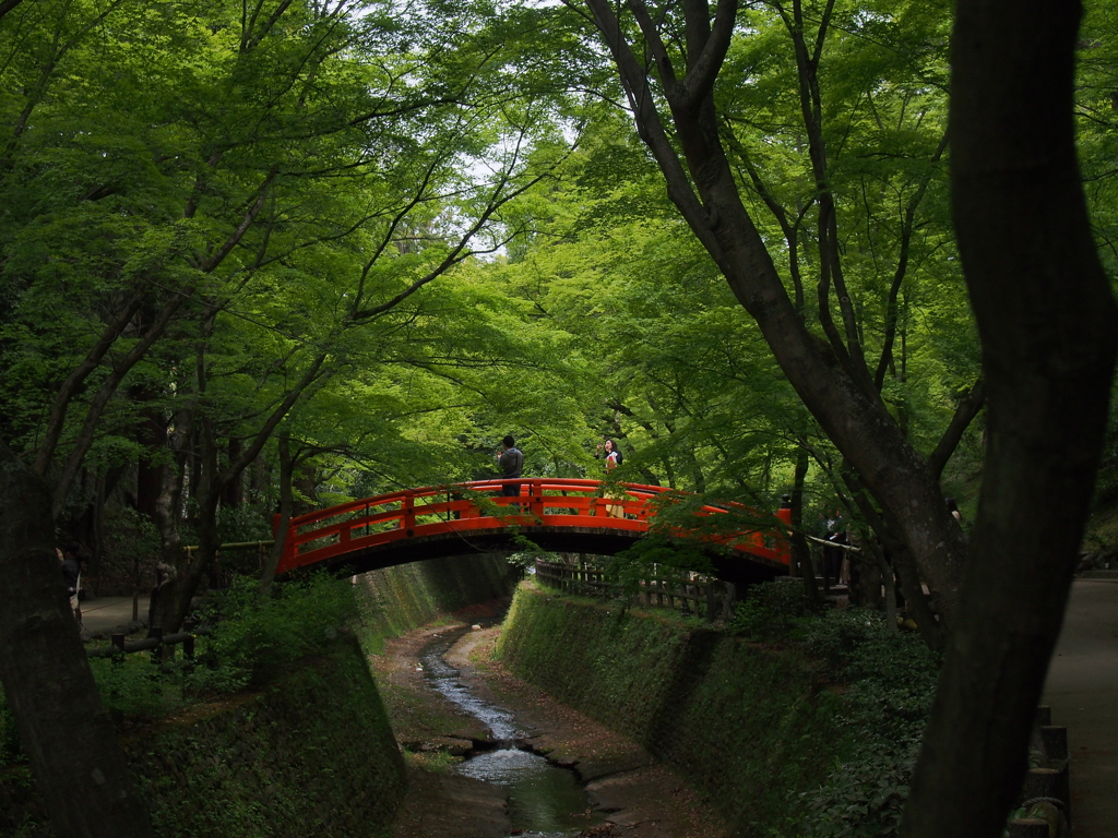 紅 浮かぶ