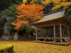 映える