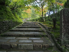 雨上がりの石段