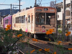 夕子