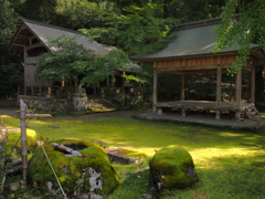 緑もなかなか