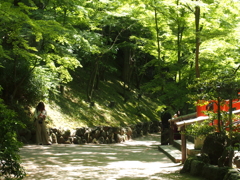 青紅葉のなかで