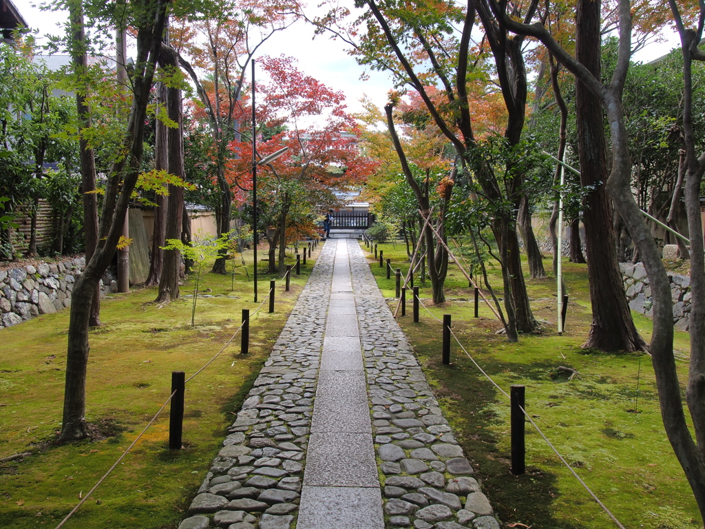 心落ち着く