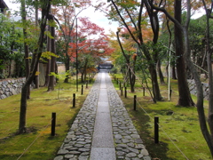 心落ち着く