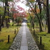 心落ち着く