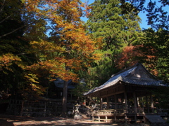 PB093607