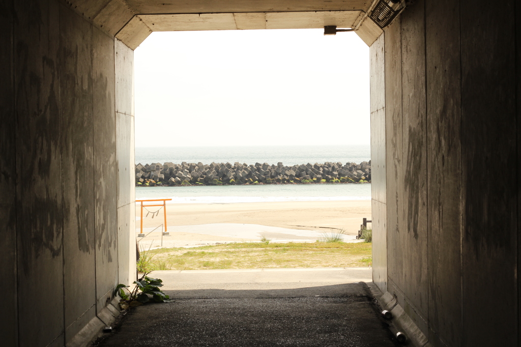 自然のファインダー