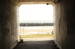 自然のファインダー