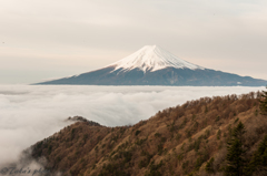 富士山撮影