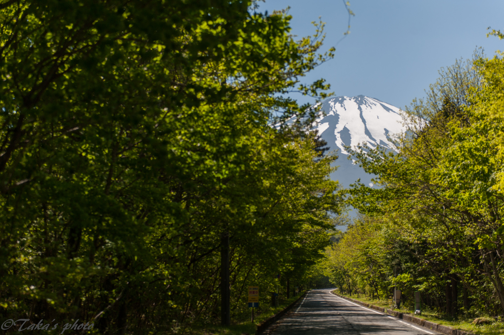 富士山一周サイクリング