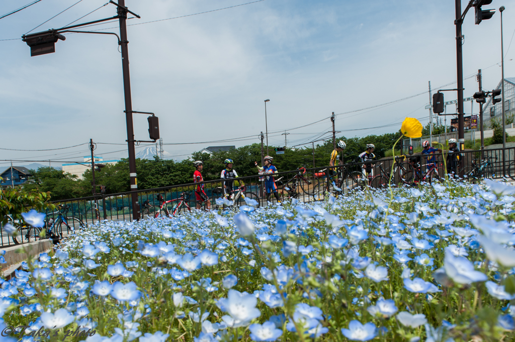由比サイクリング