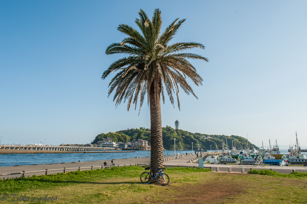 江の島サイクリング