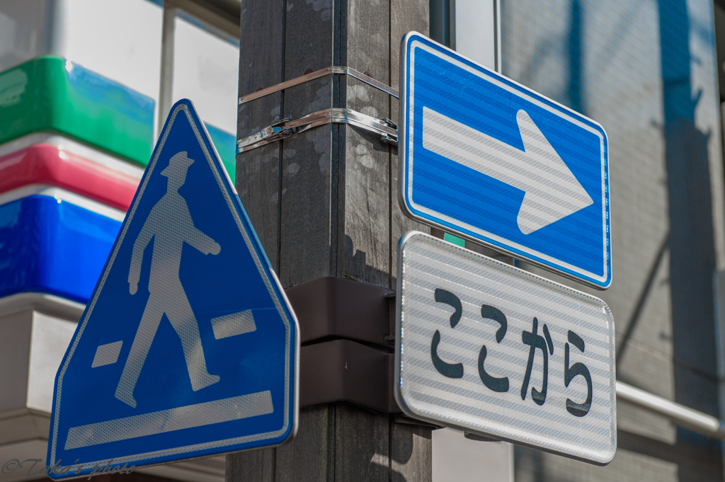 野毛山散策