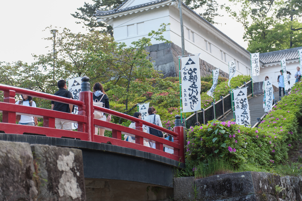 小田原城周辺