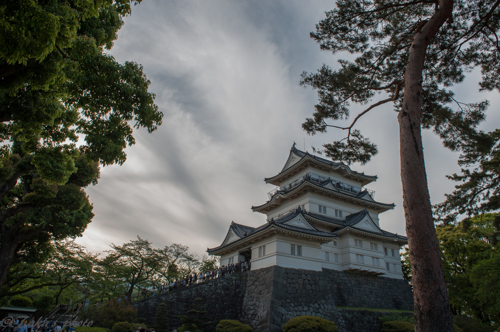 小田原城周辺