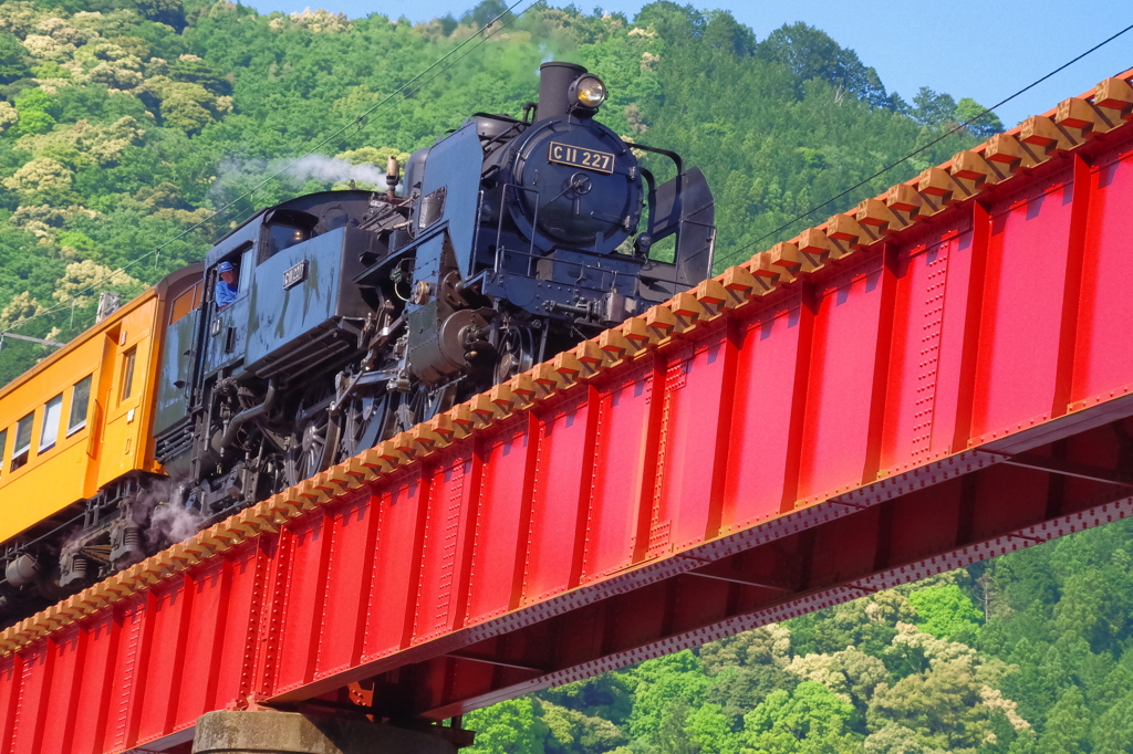 Ｃ１１