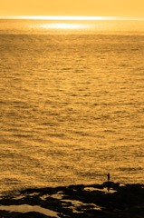 金色の海