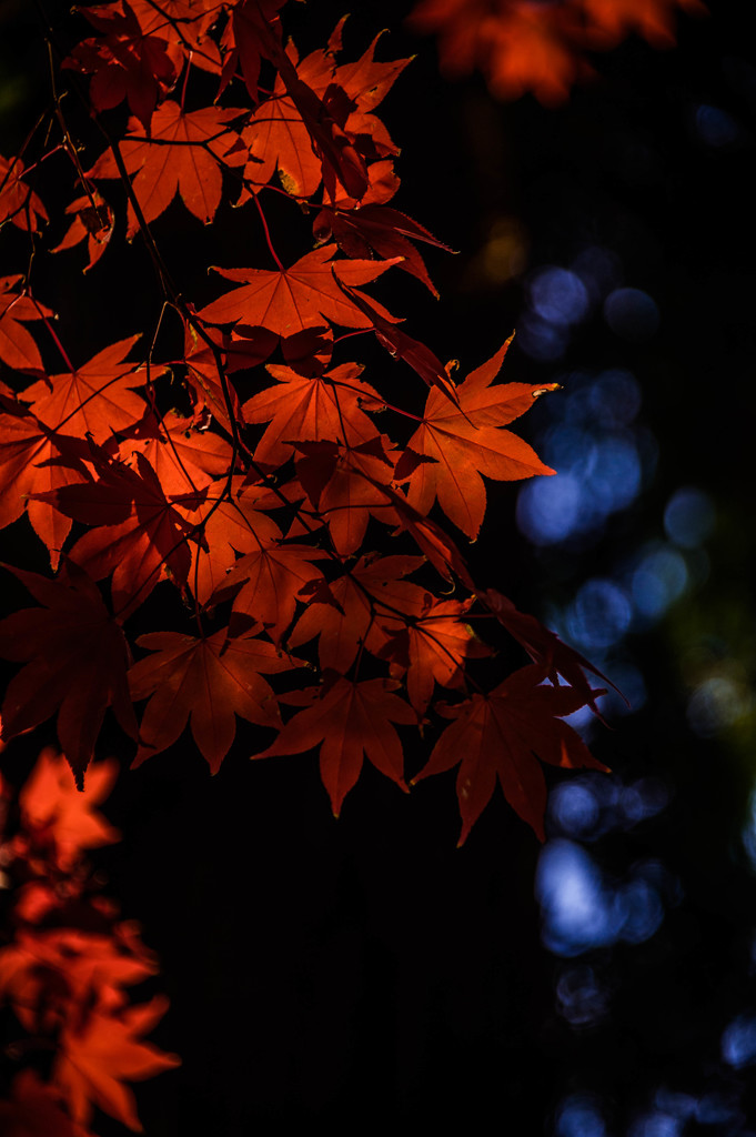 函館　見晴公園