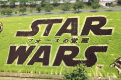 田んぼアート２０１５