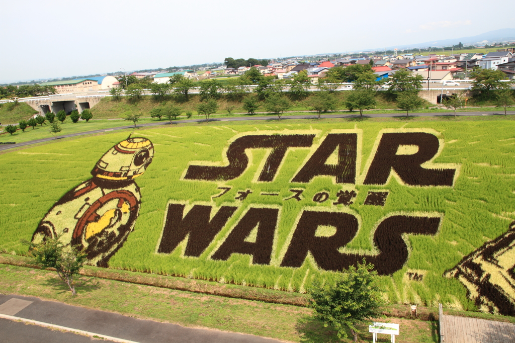 田んぼアート２０１５