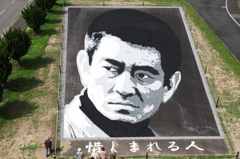 田んぼアート２０１５