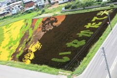 田んぼアート２０１５