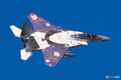 百里基地2024
