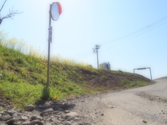 P3080076