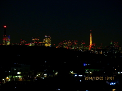 超高層ビル夜景