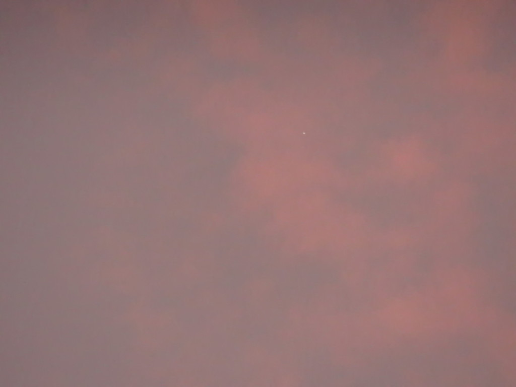 朝焼け雲の中の金星